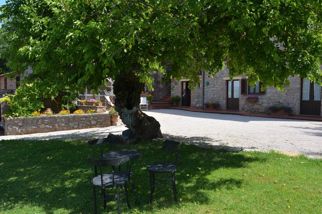 Il Poggiolo Di Parrano Konuk evi Dış mekan fotoğraf